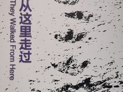 -重庆自然博物馆(新馆)