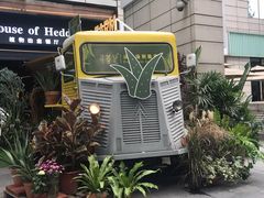 -PlantsEatery·植物食堂(REX春熙店)