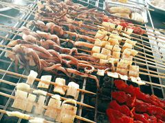 -春花秋色城市公园