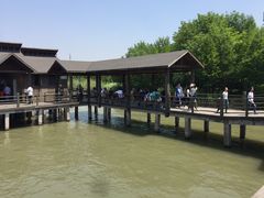 -溱湖国家湿地公园