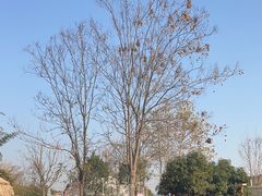 -HERRE·FARM 赫尔露营农场·团建聚会包场