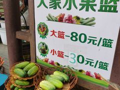 -野象谷景区