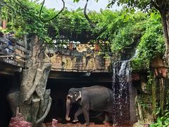 -长鹿旅游休博园