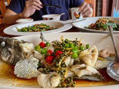 -顺德了能馆(虎门店)