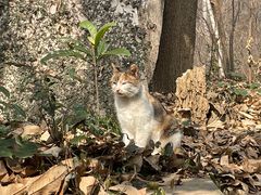-紫霞湖公园