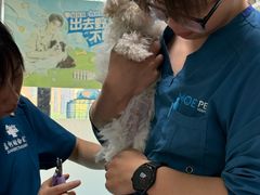 -嘉馨宠物医院·CT影像转诊·心脏科·犬猫全科诊疗中心(下沙大学城院区)