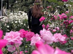 -人民公园(罗湖区)