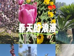 -沈阳植物园