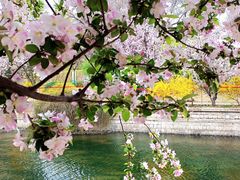 -元大都城垣遗址公园