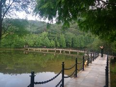 -厦门国家会计学院