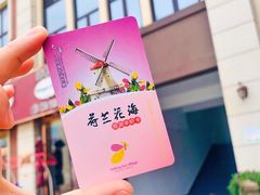 -荷兰花海
