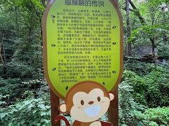 -大岭沟猕猴桃谷风景区