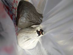 -旺福楼·包点(碑亭巷店)