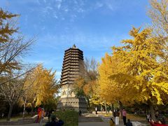 -玲珑塔公园