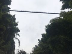 -川西竹海景区