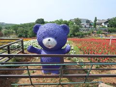 -大塘金香草谷