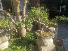 -罗浮山·罗园农庄