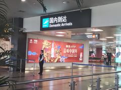 -厦门高崎国际机场-T3航站楼