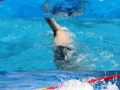 -重庆市奥林匹克体育中心-游泳跳水馆