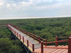 -北海金海湾红树林生态旅游区