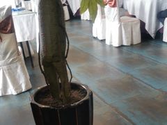 -新粤新疆菜(禅城店)
