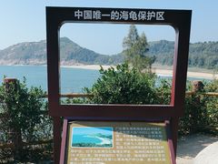 -广东惠东海龟国家级自然保护区