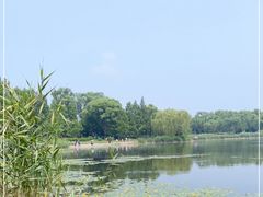 -北坞公园