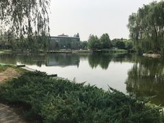 -望湖公园