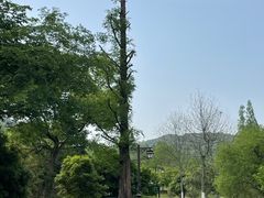 -杭州植物园