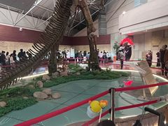 -诸城市恐龙博物馆