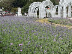 -龙环葡韵住宅式博物馆