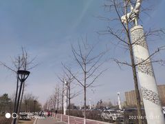 -丁香湖公园