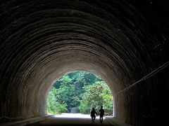 -西安祥峪森林公园