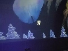 -贝壳梦幻世界
