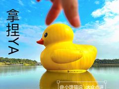 -深圳人才公园