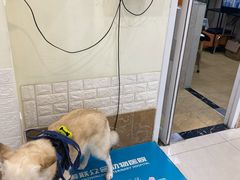 -美联众合动物医院·24h京西诊疗中心