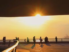 -演武大桥观景平台