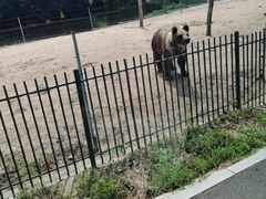 -秦皇岛野生动物园