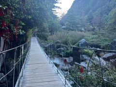 -苍山感通索道