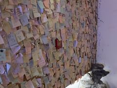 -白兔子密室(长寿路店)