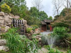 -东平国家森林公园