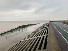 -碧海金沙
