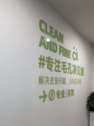 -凡碧诗毛孔清洁收细