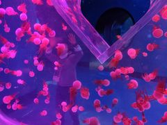 -南昌融创海世界