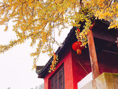 -佛荫寺