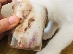 -平行世界·猫咖(首经贸店)