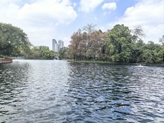 -荔湾湖公园
