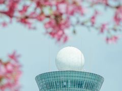 -狐尾山公园