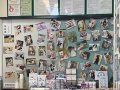 -爱妮康宠物医院·干细胞免疫细胞·肿瘤·心脏(张江店)