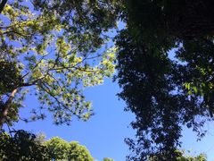 -清迈丛林飞跃 JungleFlight